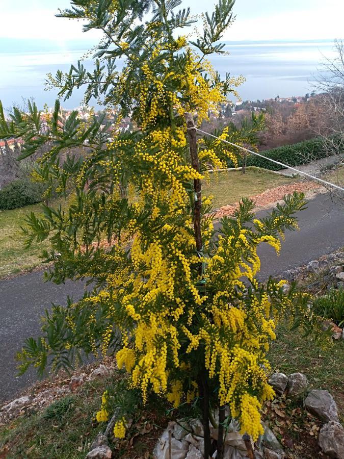 Amazing View Kvarner Bay 洛夫兰 外观 照片