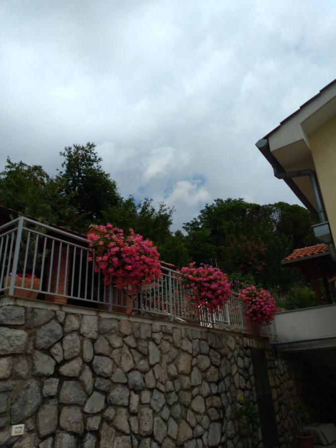 Amazing View Kvarner Bay 洛夫兰 外观 照片
